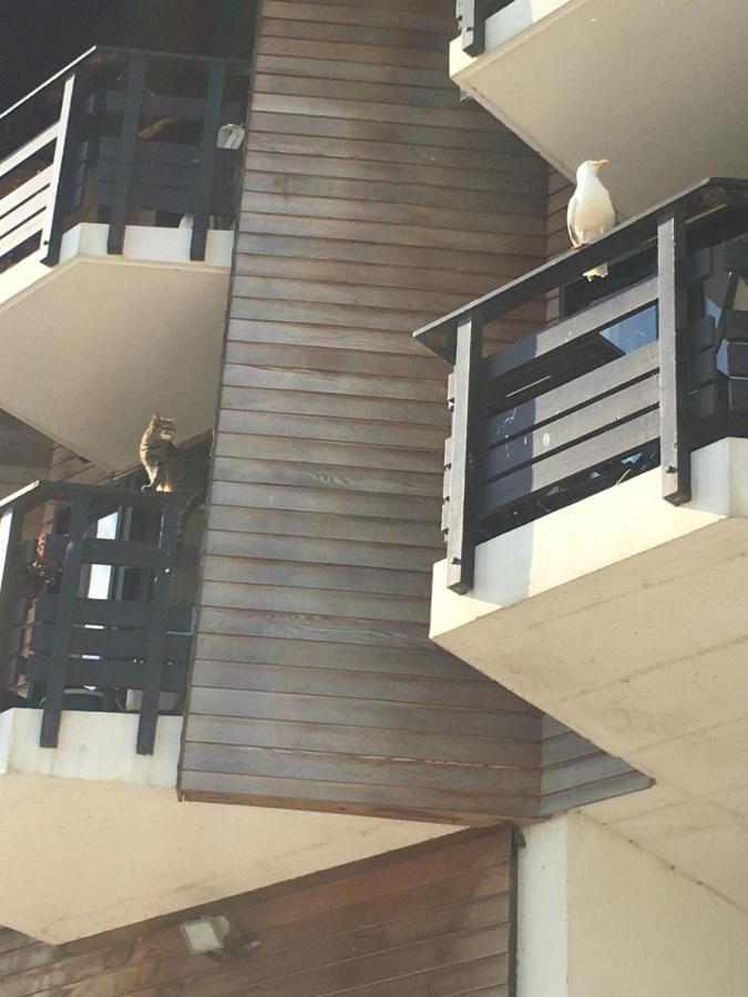 Mon Balcon Face A La Mer - Les Marinas Deauville Bagian luar foto